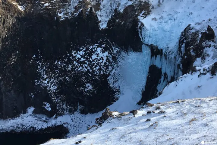 知床自然中心10