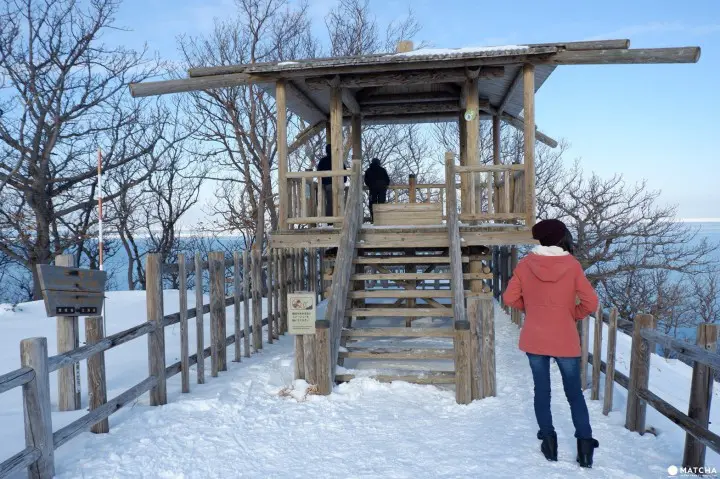 知床自然中心11