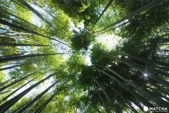 Kamakura Half-Day Trip Itinerary