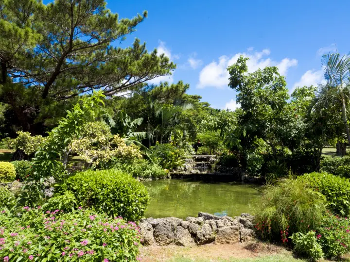 沖縄離島で1番人気！宮古島でやりたい7個のこと
