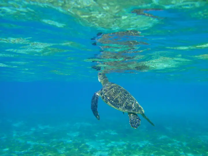 沖縄離島で1番人気！宮古島でやりたい7個のこと