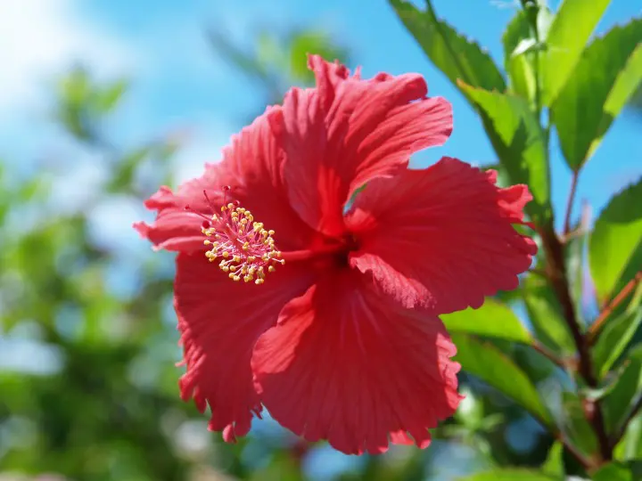 沖縄離島で1番人気！宮古島でやりたい7個のこと