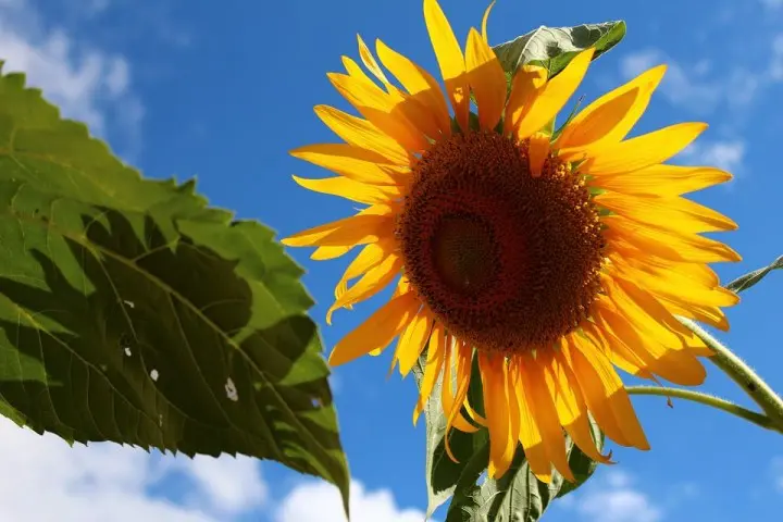 ญี่ปุ่นหน้าร้อน มีอะไรให้ทำเยอะกว่าที่คิด มาแล้วจะติดใจ