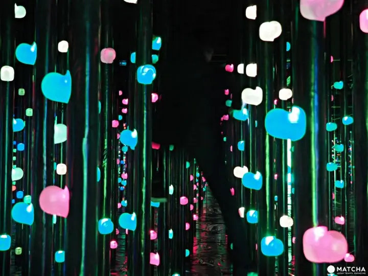 光之森林的3D攀岩