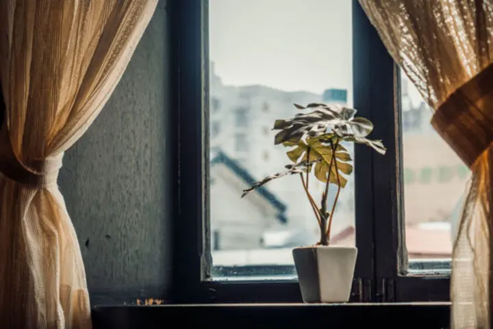 「日本岩手」最薰陶！跌入「盛岡」的風雅工藝世界！