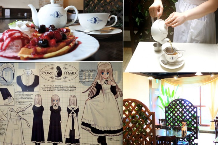 【秋叶原】Cure Maid Cafe这家女仆咖啡店跟你想的不一样!