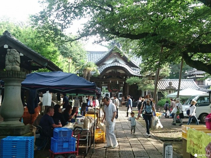 早起的鳥兒有蟲吃!東京朝市6選