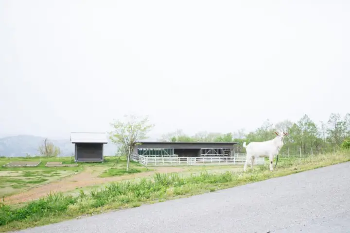 北陆冰见・山海宿泊休日!每日一组限定,隐居林中酒庄木屋 SAYS FARM