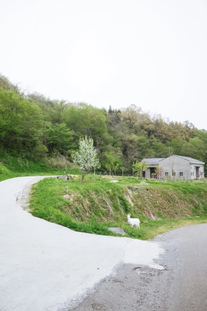 北陆冰见・山海宿泊休日!每日一组限定,隐居林中酒庄木屋 SAYS FARM