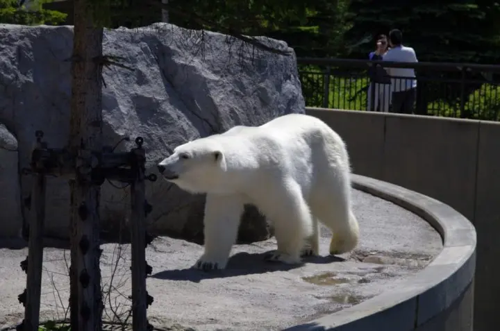 旭川のオススメスポット7選