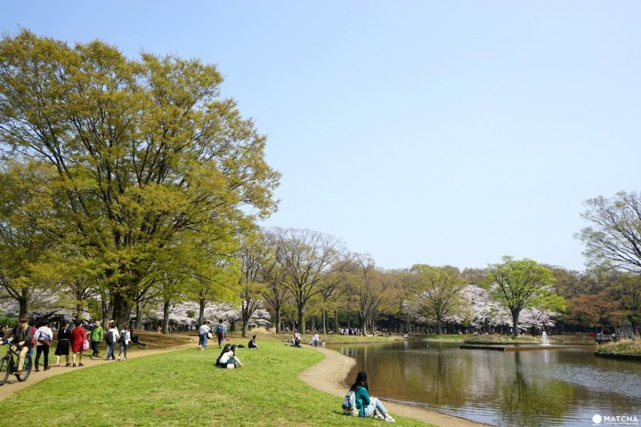 代々木公園
