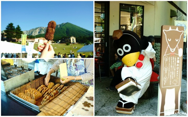 Mt. Daisen Torch Parade, Tottori - An Encounter With Japanese Religion