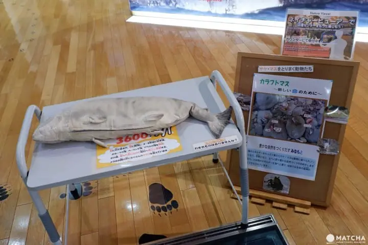 知床世界遺產 08