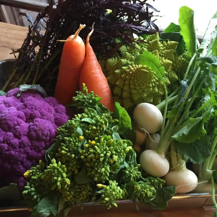 春天的海边最棒了！东京近郊神奈川县内 ⋯⋯“#海洋派”必推咖啡厅☕️??3选