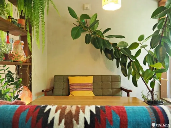 Natural Cafeina座位