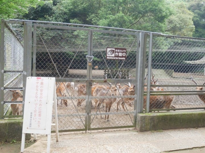 鹿島神宮