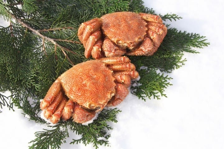 กุ้งหอยปูปลา อาหารทะเลสดๆ ยกมาให้ที่ตลาดซัปโปโรโจไก (Sapporo Jogai Market) ในฮอกไกโด (Hokkaido)