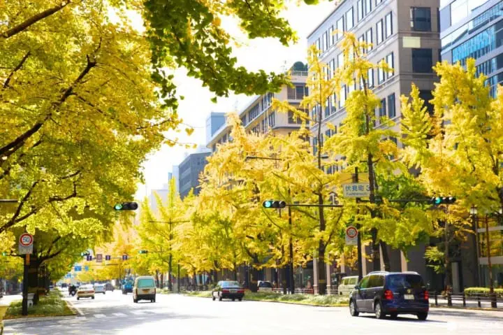 Ingin Menikmati Pemandangan saat Musim Gugur di Osaka? Ini Dia 5 Tempatnya!