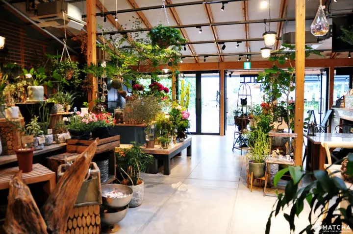 tennoji spoonbill inside