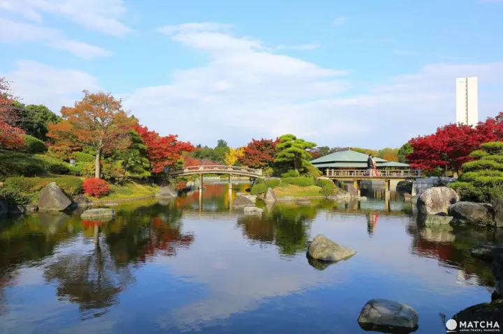 Ingin Menikmati Pemandangan saat Musim Gugur di Osaka? Ini Dia 5 Tempatnya!