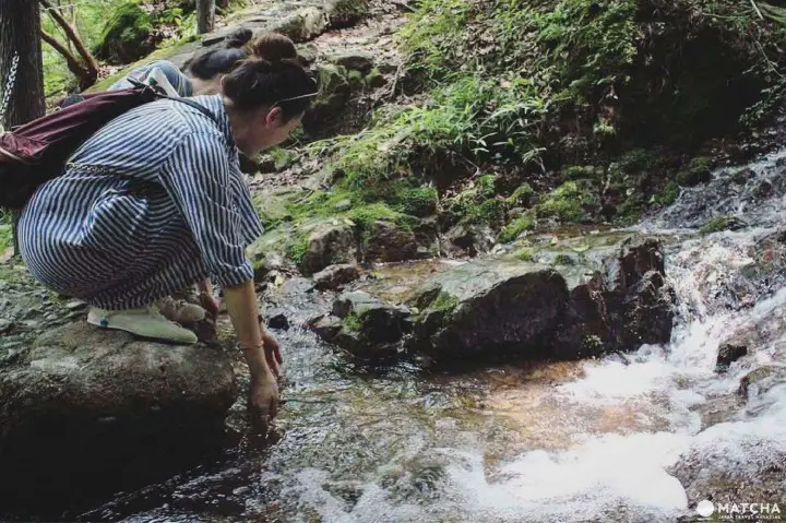 京都琉璃溪自然生态