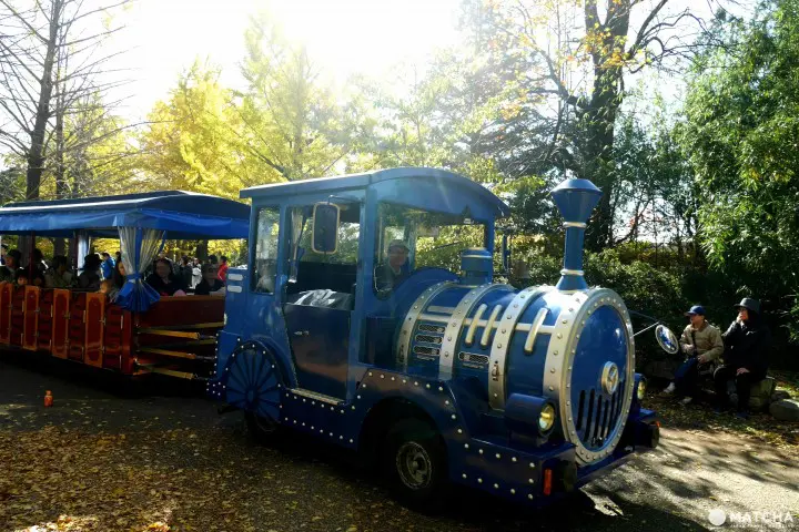 立川昭和記念公園火車