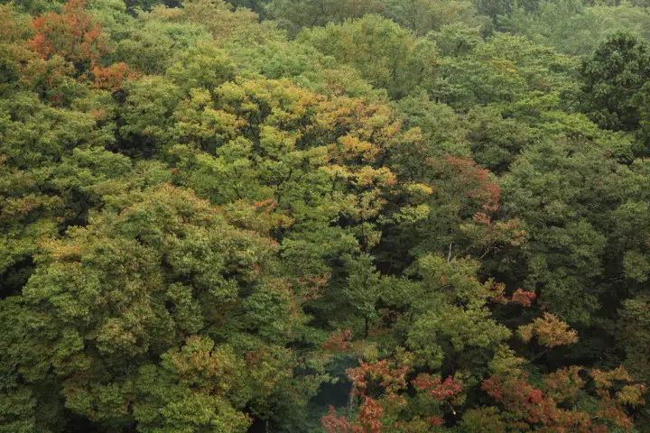 新潟縣的古典魅力小市鎮 充滿大自然靈氣的彌彥村及金屬加工發祥地燕市