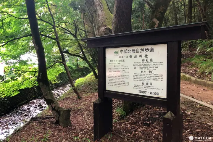 新潟縣的古典魅力小市鎮 充滿大自然靈氣的彌彥村及金屬加工發祥地燕市