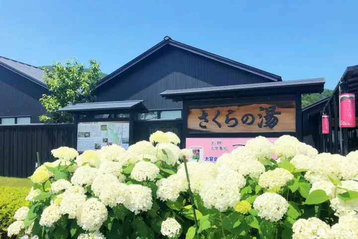 新潟縣的古典魅力小市鎮 充滿大自然靈氣的彌彥村及金屬加工發祥地燕市