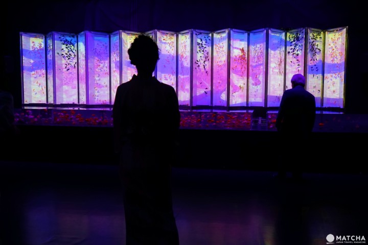 Art Aquarium อควาเรียมผสานศิลปะ ที่นิฮมบาชิ โตเกียว (Nihonbashi, Tokyo)