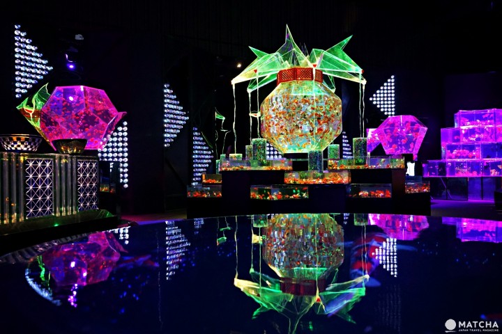 Art Aquarium อควาเรียมผสานศิลปะ ที่นิฮมบาชิ โตเกียว (Nihonbashi, Tokyo)