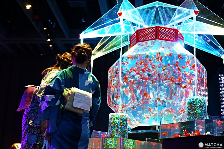Art Aquarium อควาเรียมผสานศิลปะ ที่นิฮมบาชิ โตเกียว (Nihonbashi, Tokyo)