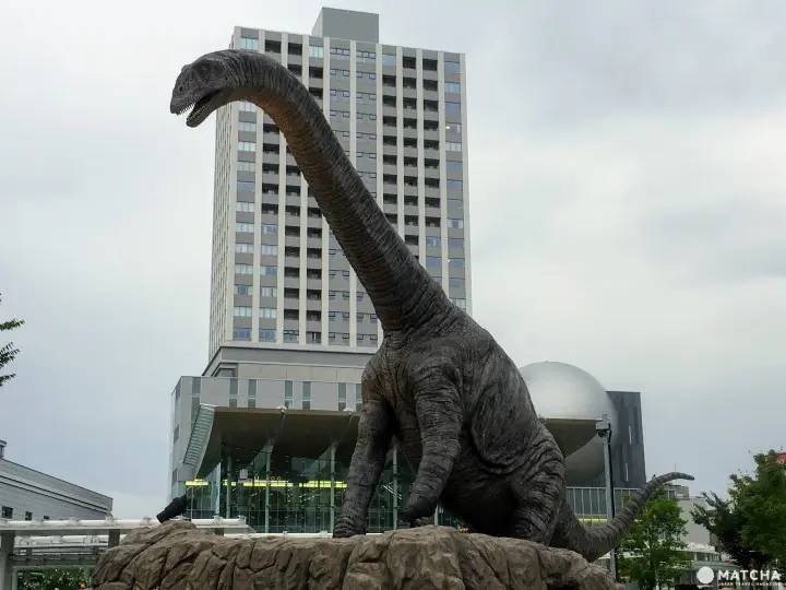 福井巨龙 恐龙模型