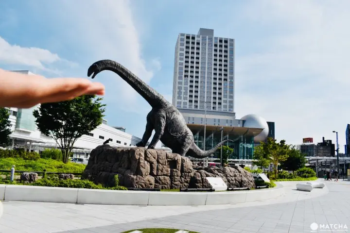 福井巨龙 错位摄影 