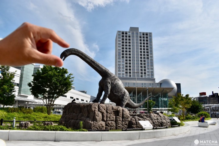 福井巨龙 错位摄影 恐龙宠物