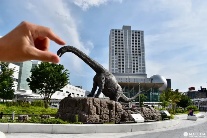 福井巨龙 错位摄影 恐龙宠物