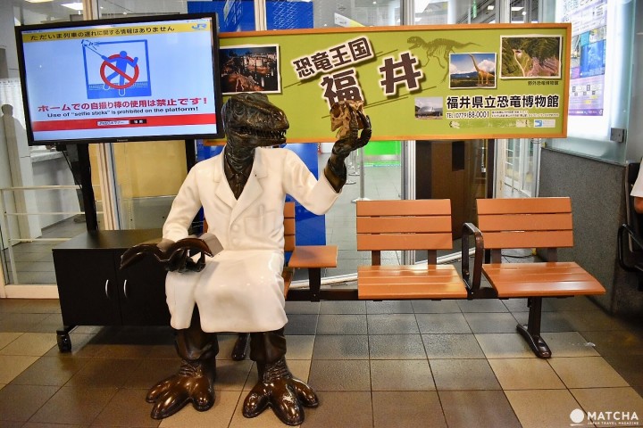 恐龙博士长椅