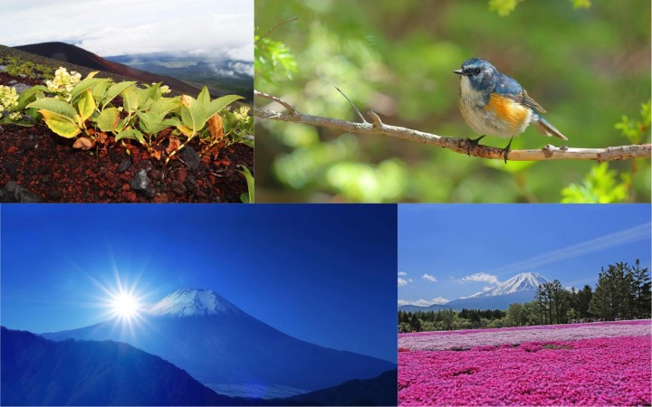【保存版】富士登山完全ガイド〜準備から旅程まで〜