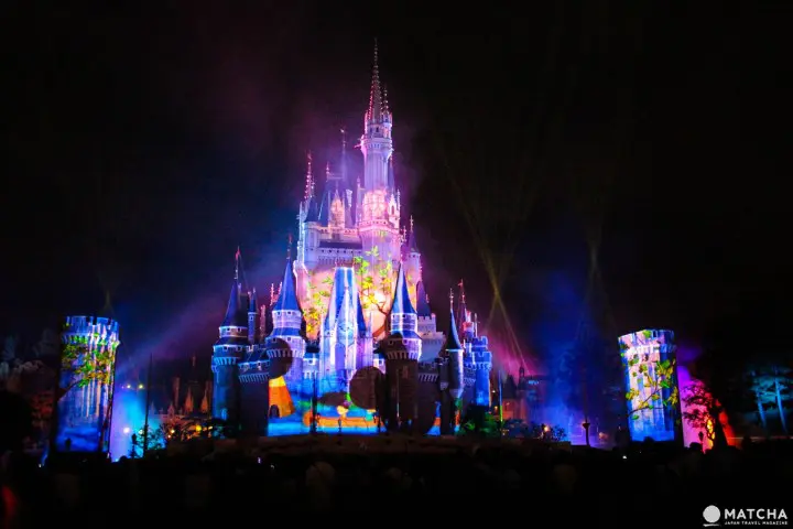 Celebrate!Tokyo Disneyland