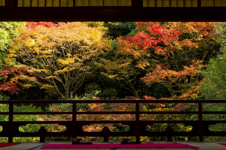 19年版 饱览北九州之秋 福冈红叶景点8选 Matcha 日本旅游网络杂志