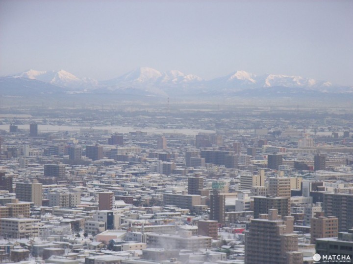 Top 7 địa điểm tham quan ở Asahikawa ~Sở thú Asahikwa, Viện bảo tàng Tuyết, Nông trại Ueno ~