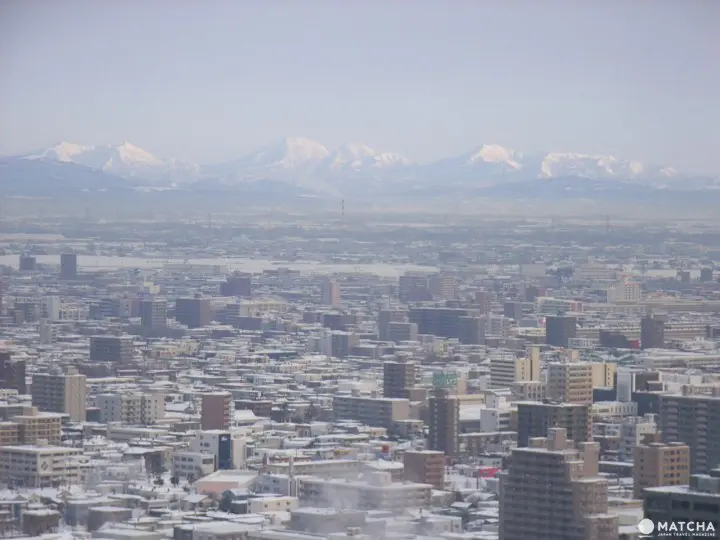 Top 7 địa điểm tham quan ở Asahikawa ～Sở thú Asahikwa, Viện bảo tàng Tuyết, Nông trại Ueno ～