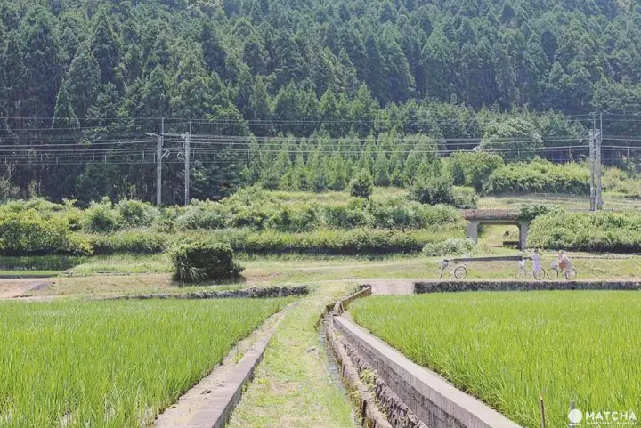 滋賀近江高島站周邊
