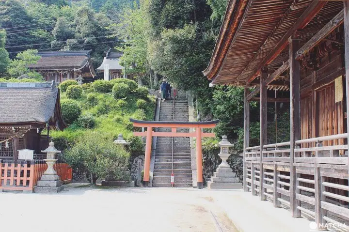 滋賀白鬚神社