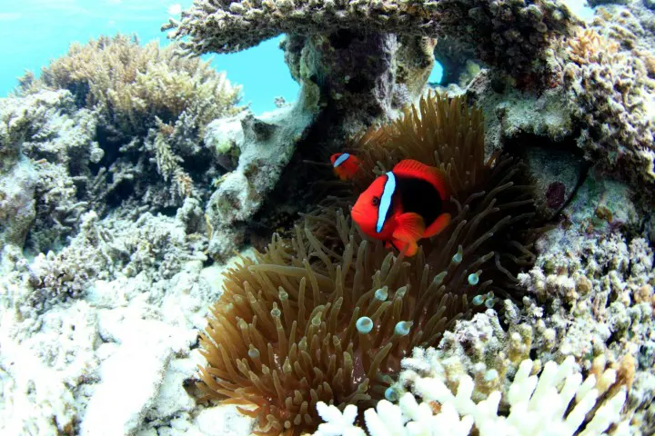 人気急上昇中の沖縄離島！石垣島でやりたい7個のこと