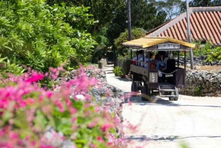 人気急上昇中の沖縄離島！石垣島でやりたい7個のこと