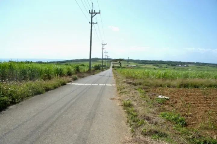人気急上昇中の沖縄離島！石垣島でやりたい7個のこと