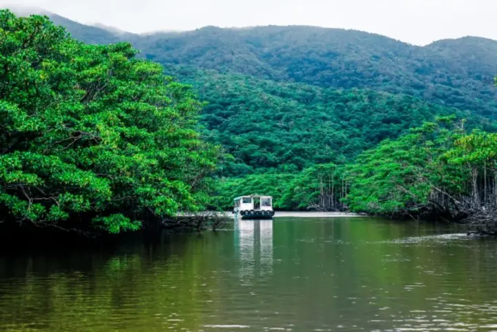 人気急上昇中の沖縄離島！石垣島でやりたい7個のこと