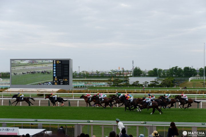 函館競馬場02