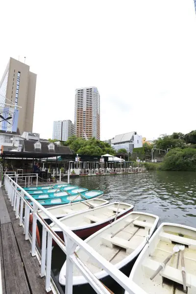 投奔不一樣的夏 ~ 東京巨蛋城攻蛋教學 (三)